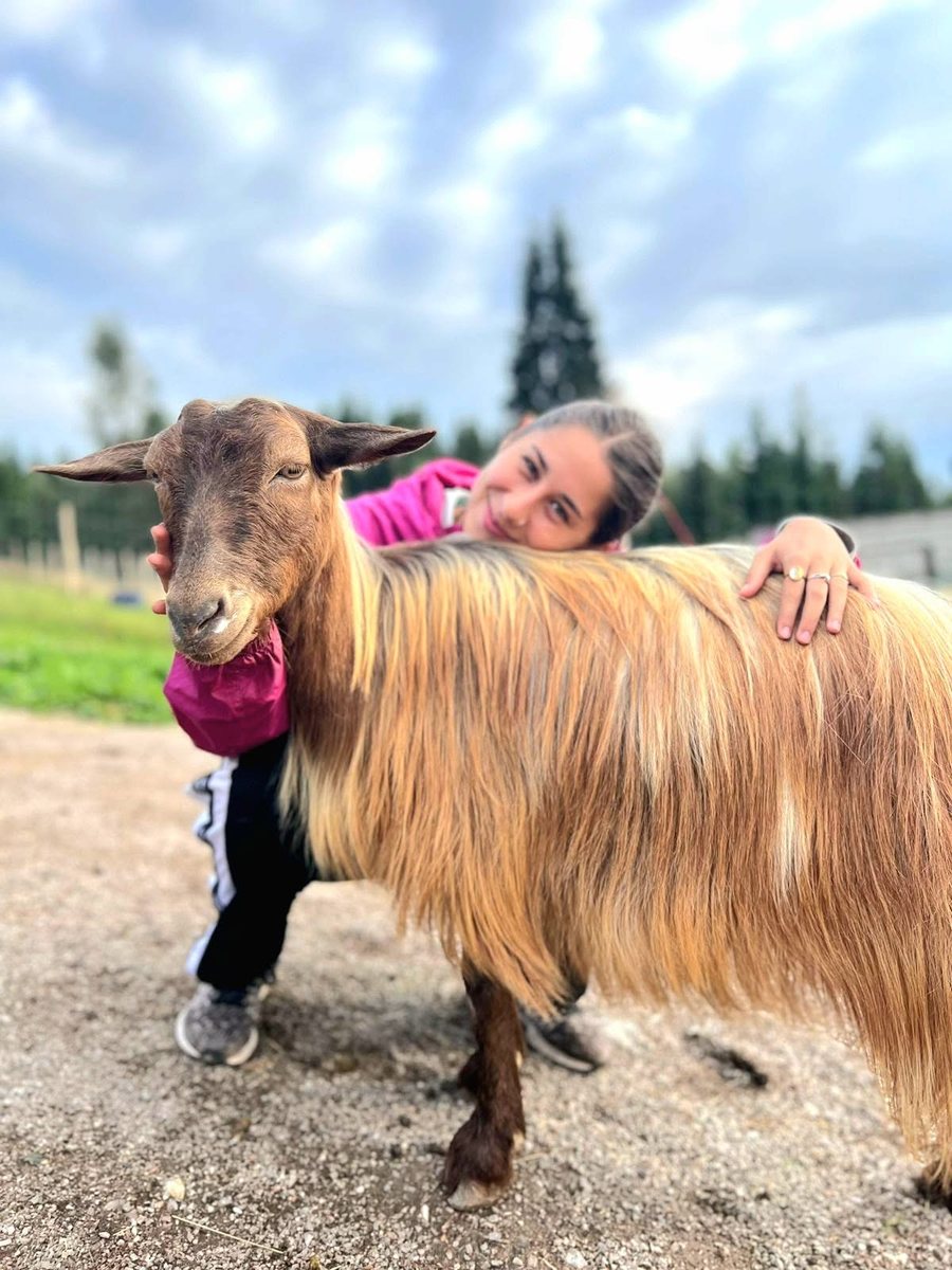 Voluntar alături de animăluțele sanctuarului