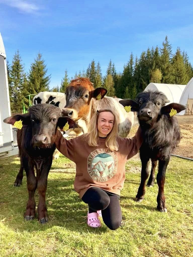 Voluntar alături de animăluțele sanctuarului