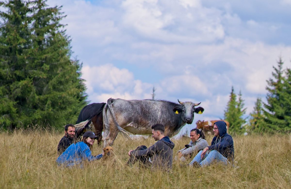 Voluntar alături de animăluțele sanctuarului