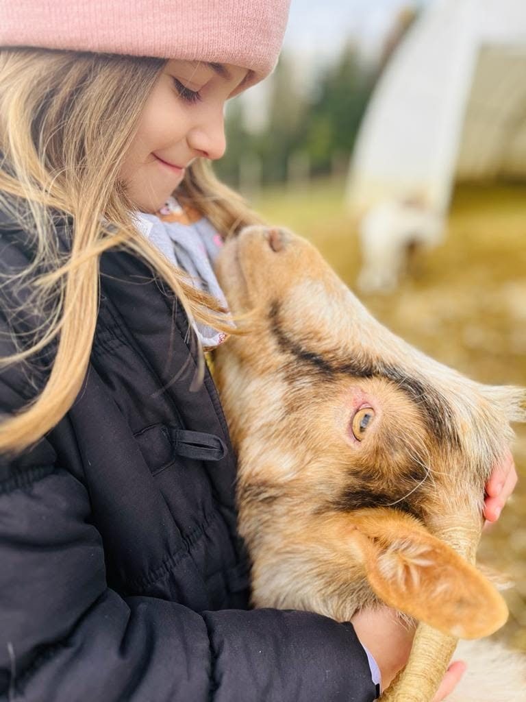 Voluntar alături de animăluțele sanctuarului
